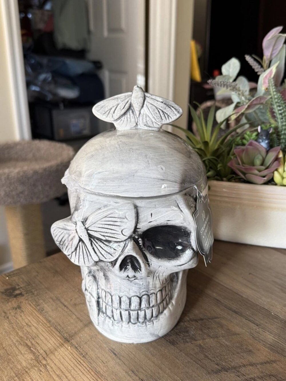 10 Strawberry Street Ceramic Skull Moth Canister - 8.5 Inch - NWT